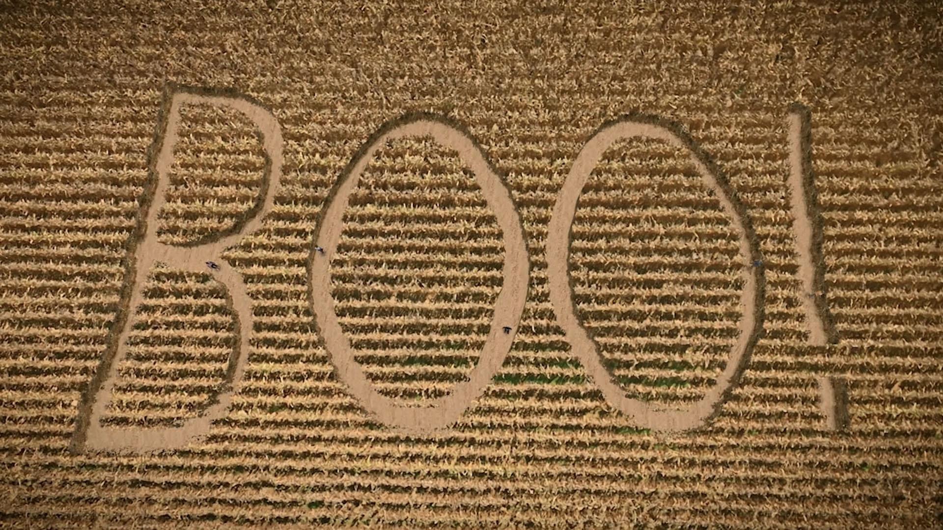 The Harvest festival is in jeopardy. The detectives set out to find the truth and save the festival!