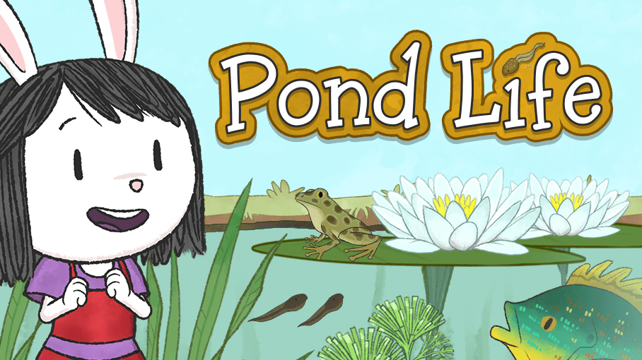 Pond Life